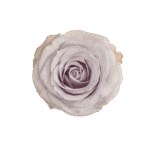 15-SILVER-MIKADO_3