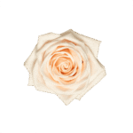 20-SOUL_3