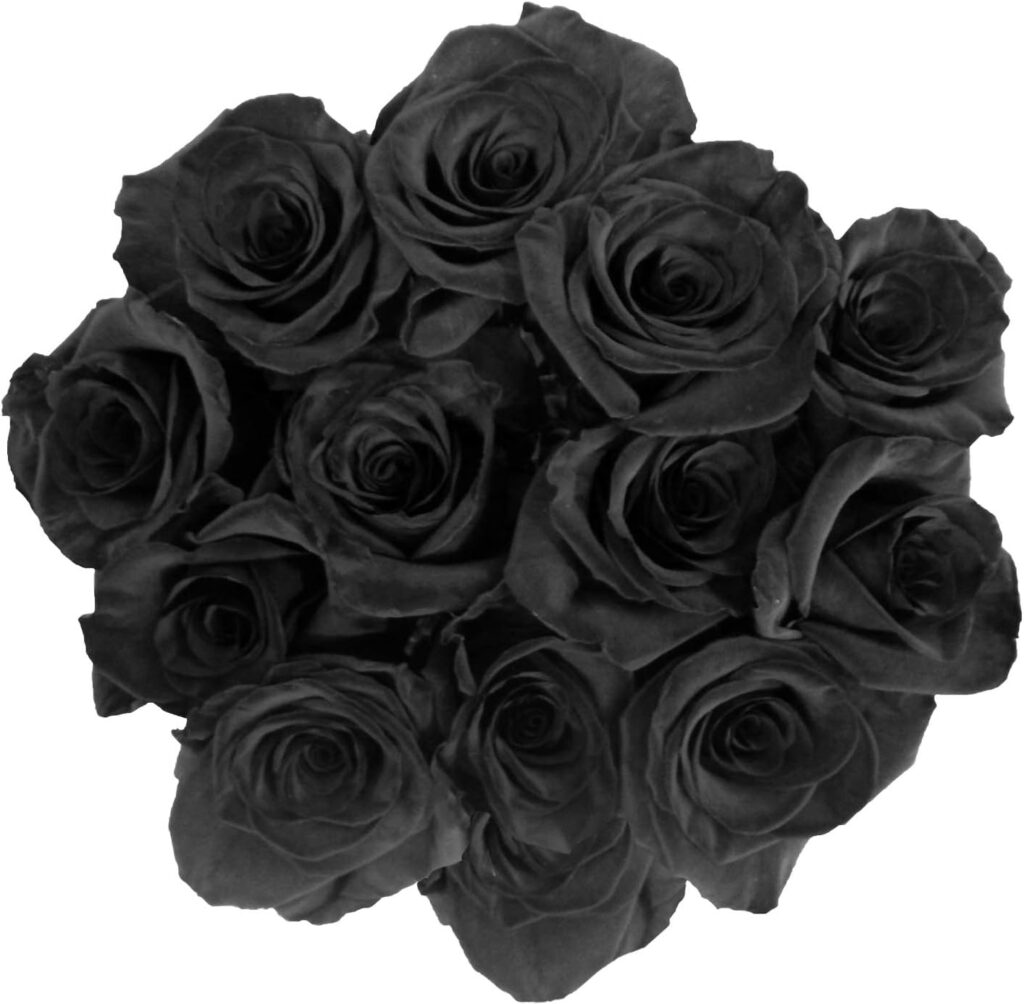 Black Dyed – 25 Stems