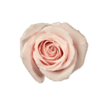 SWEET-ESCIMO_3